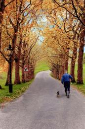 Walking the alley